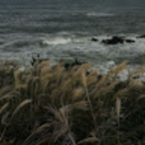 Meet your Posher, Lily